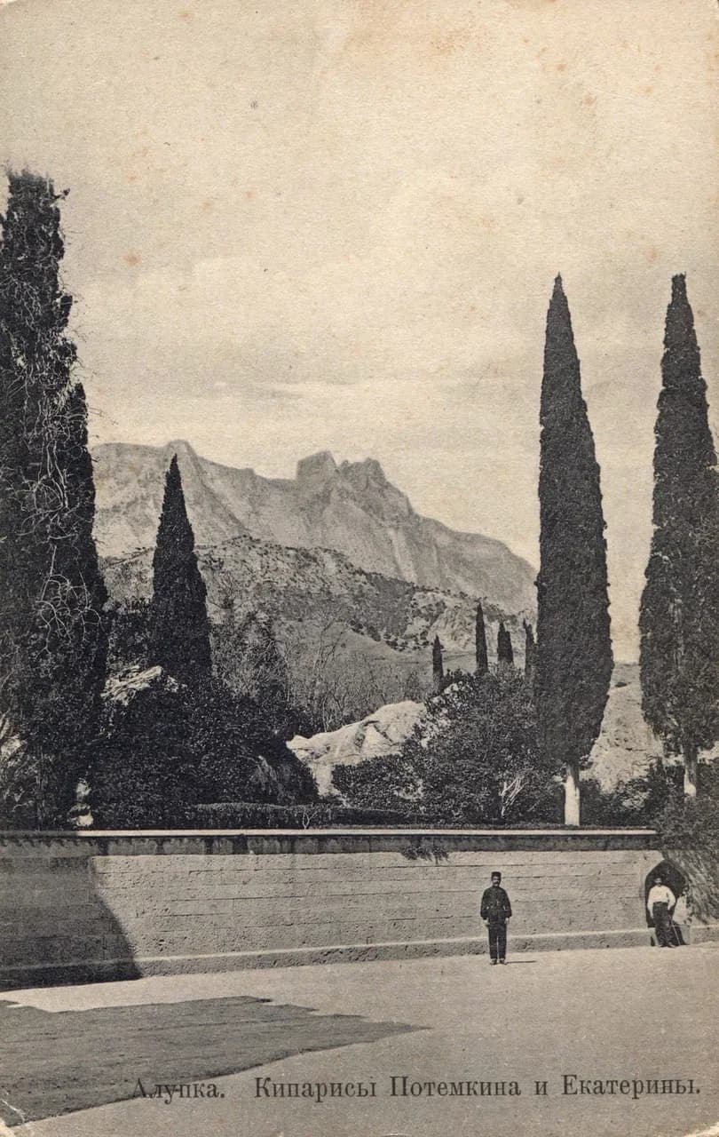 Алупка. Кипарисы Потемкина и Екатерины. 1933 года.