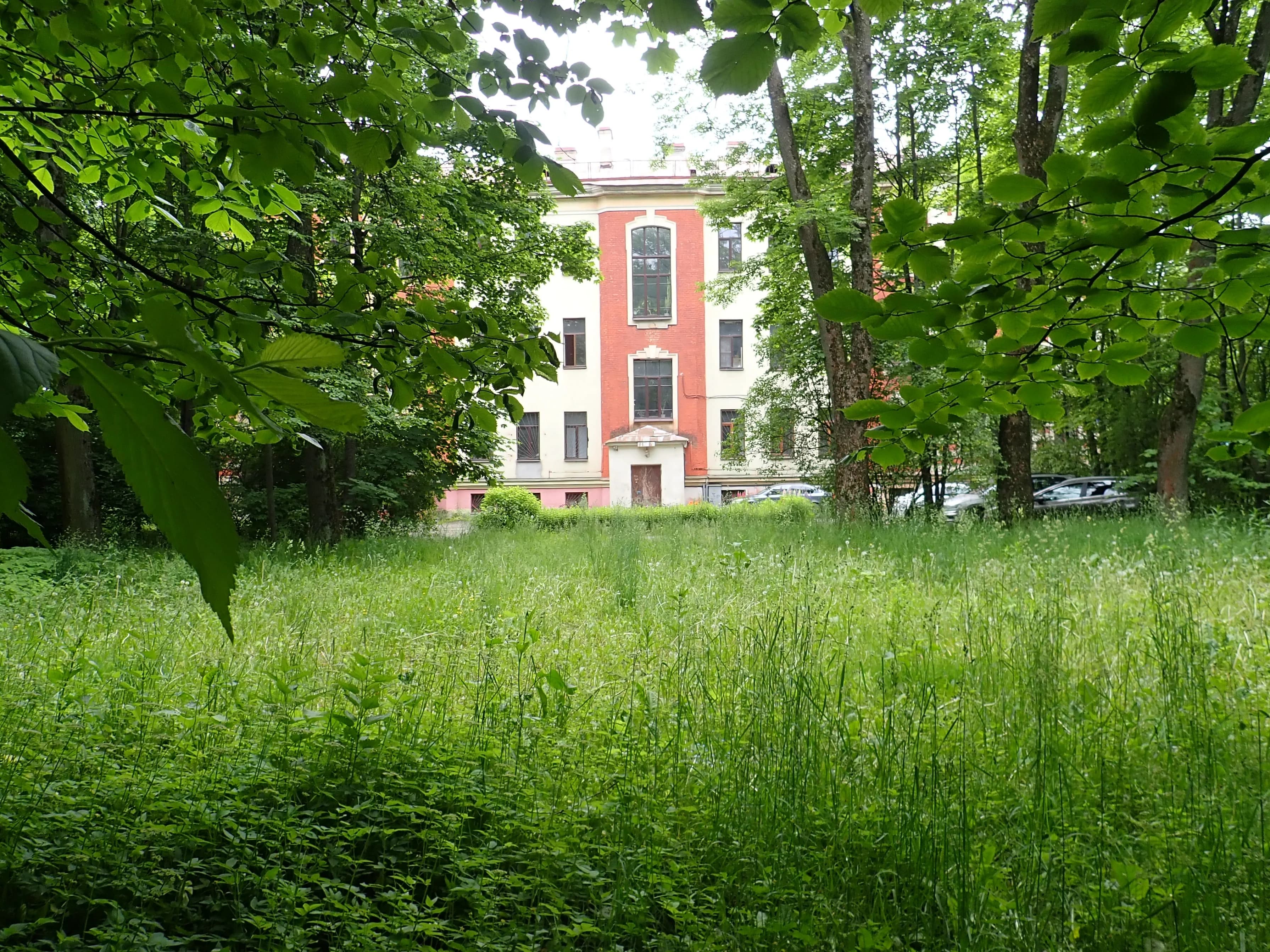 Пушкин. Оранжерейная улица, дом 49/20. Вид со двора.