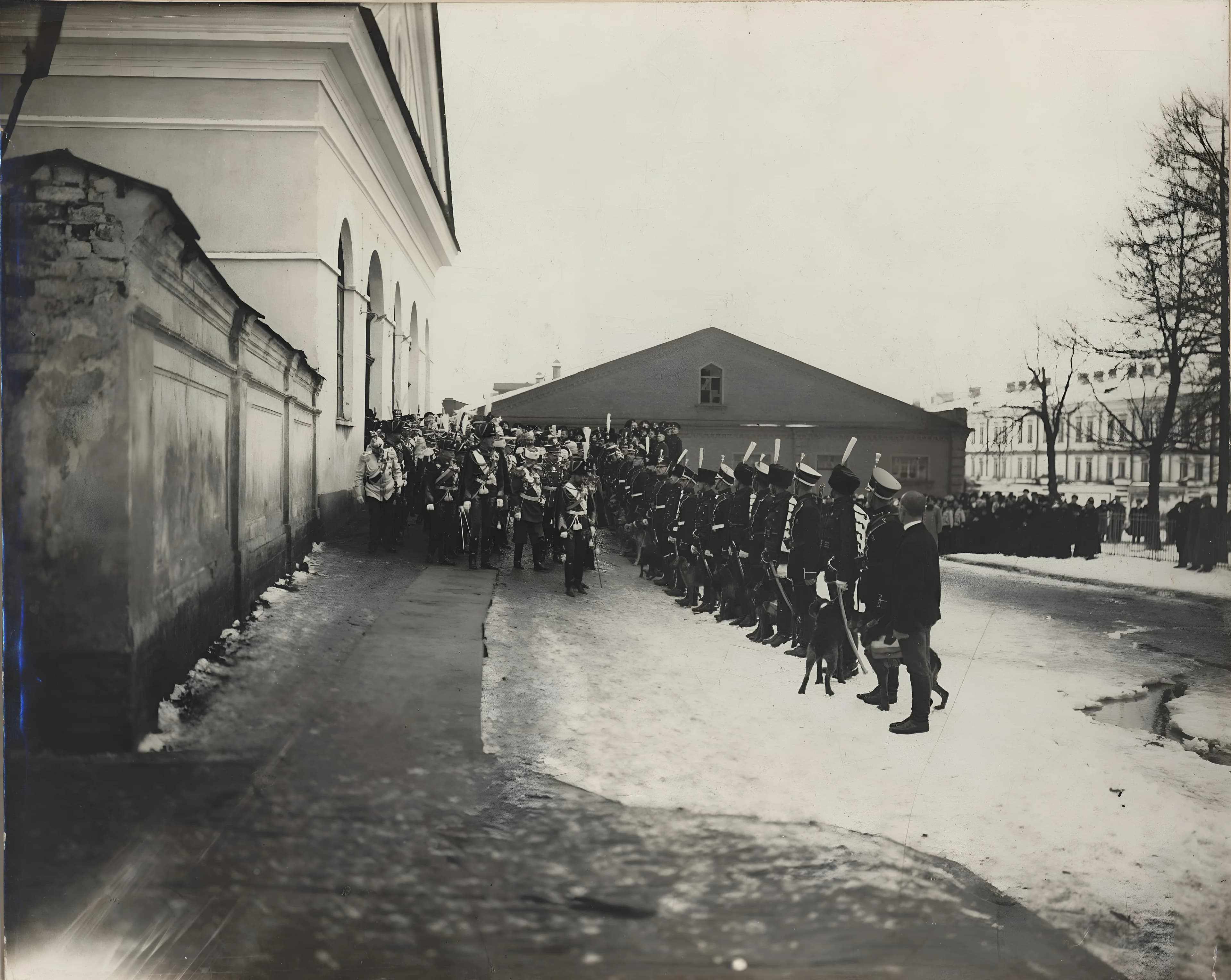 Смотр полковых собак. 