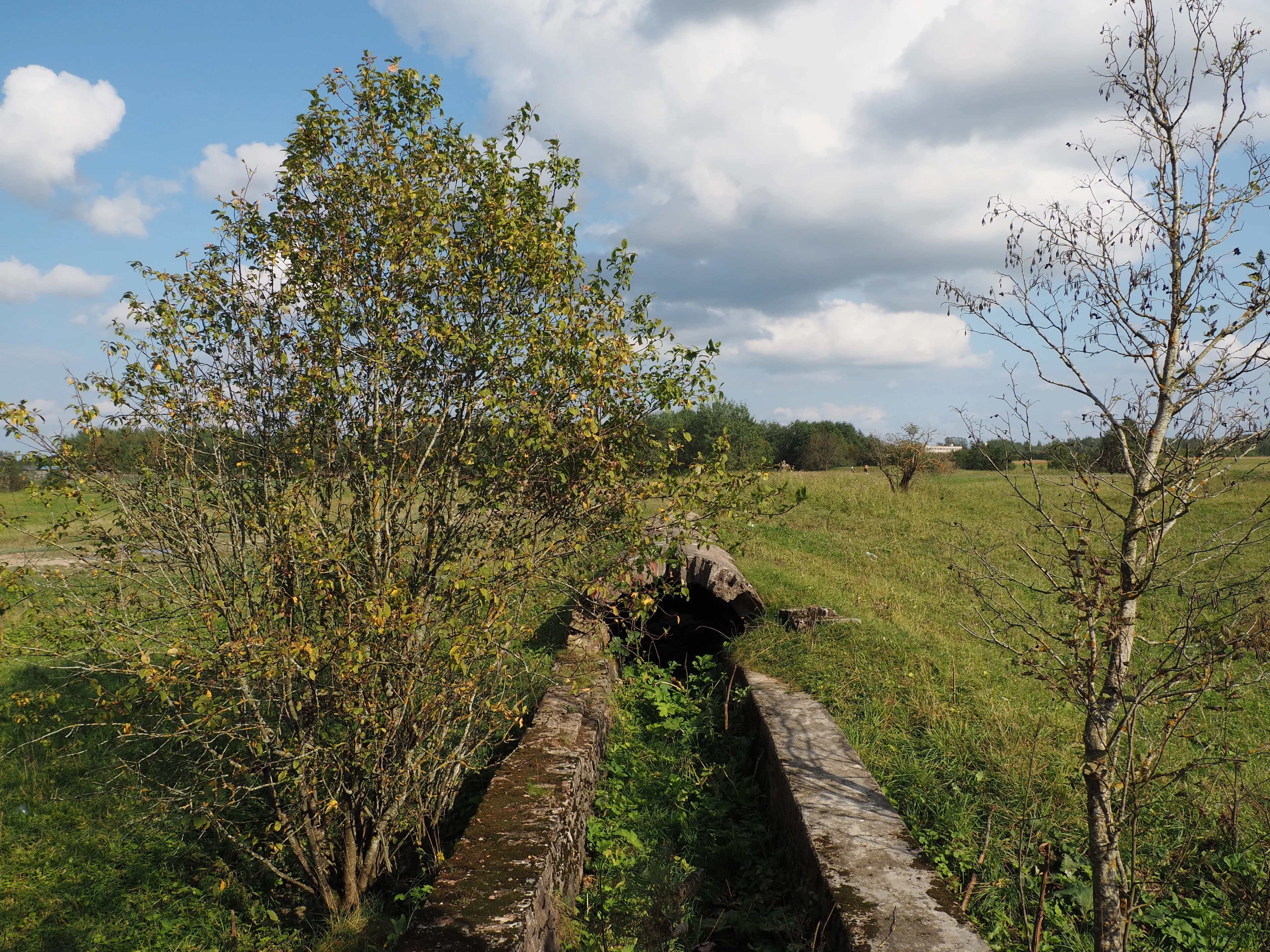 Руины Таицкого водовода. 