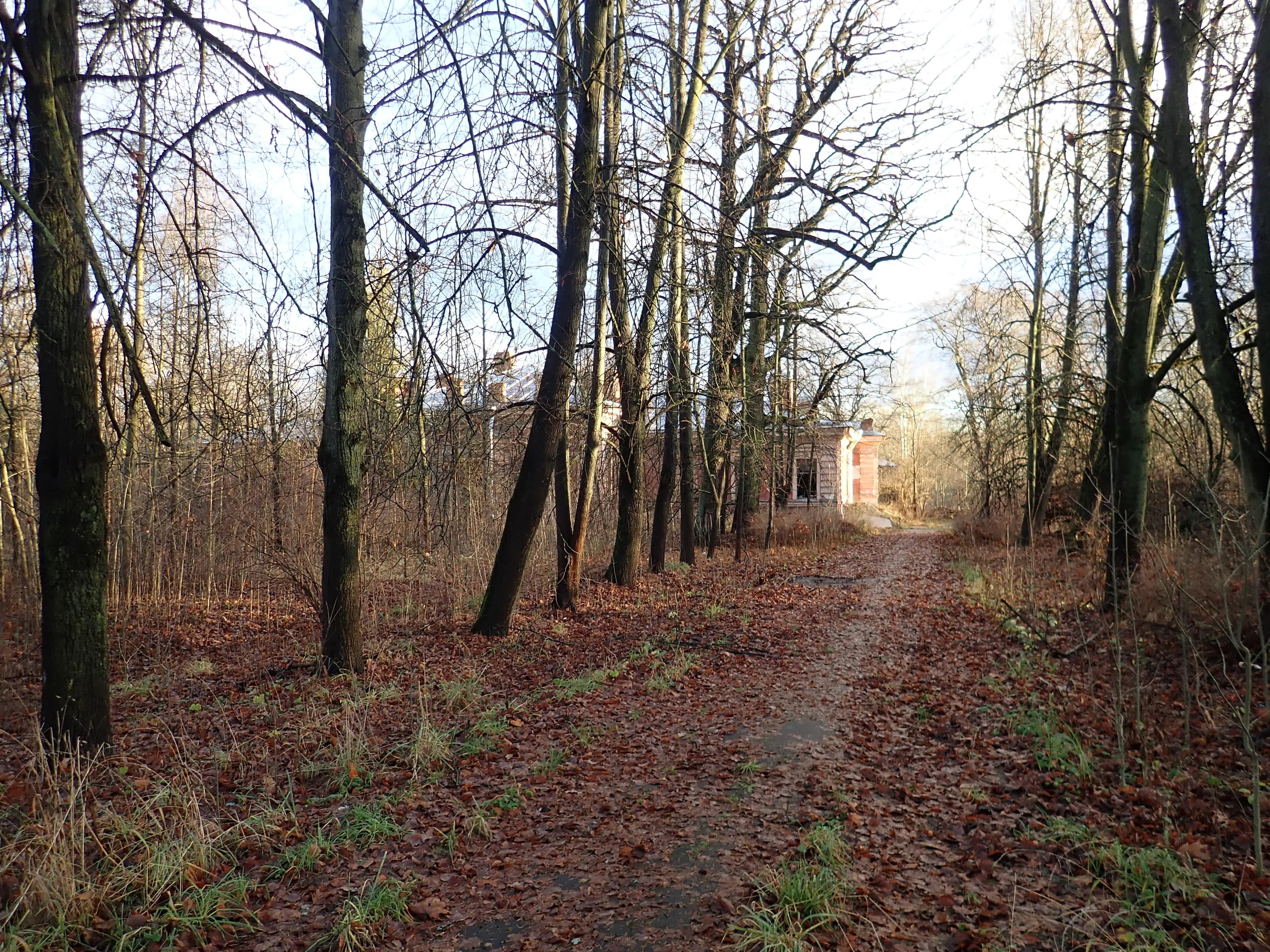 г. Пушкин, Павловское шоссе, 34.