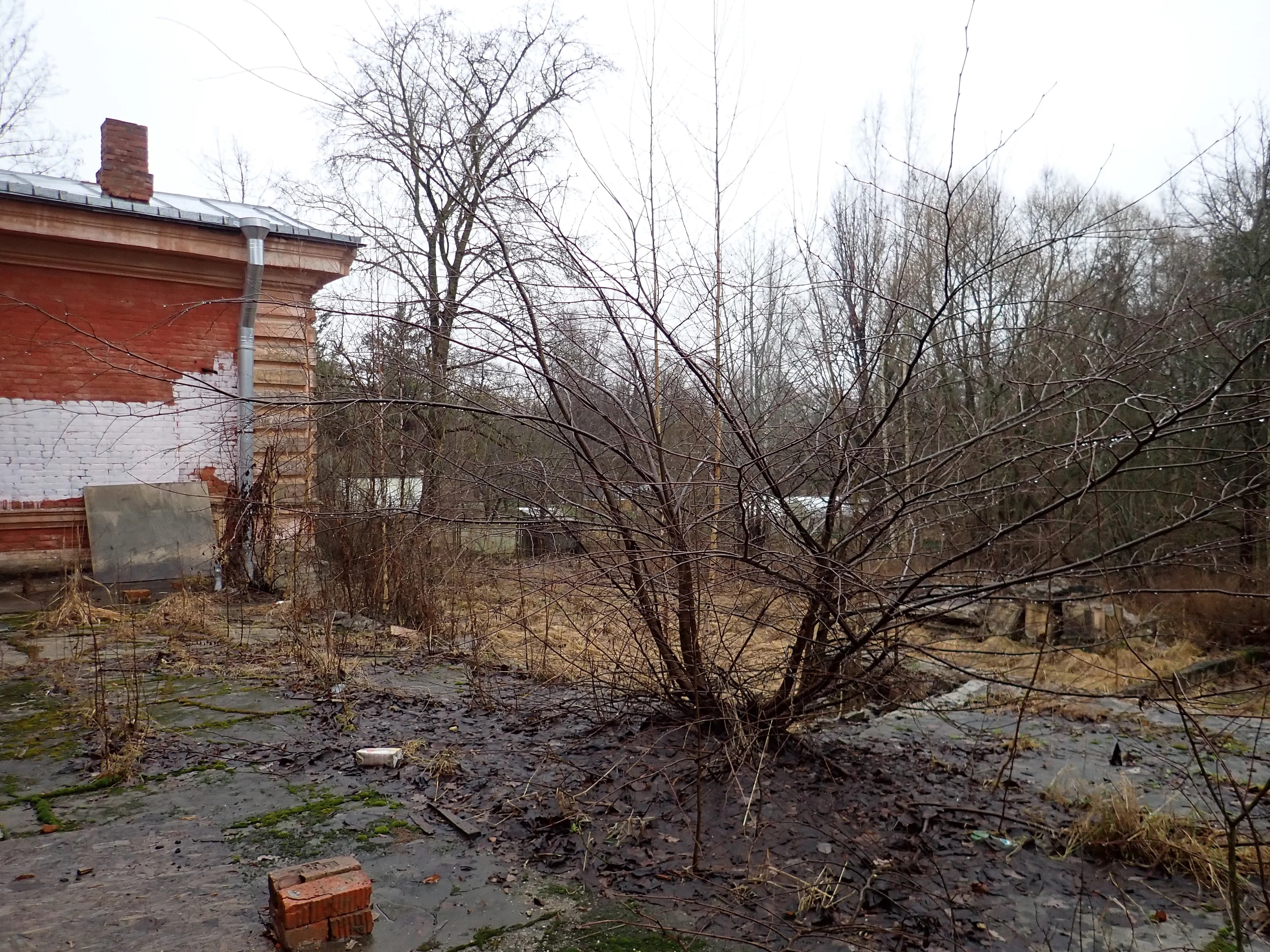 г.Пушкин, Павловское шоссе, 34. Терраса заброшенного здания. 