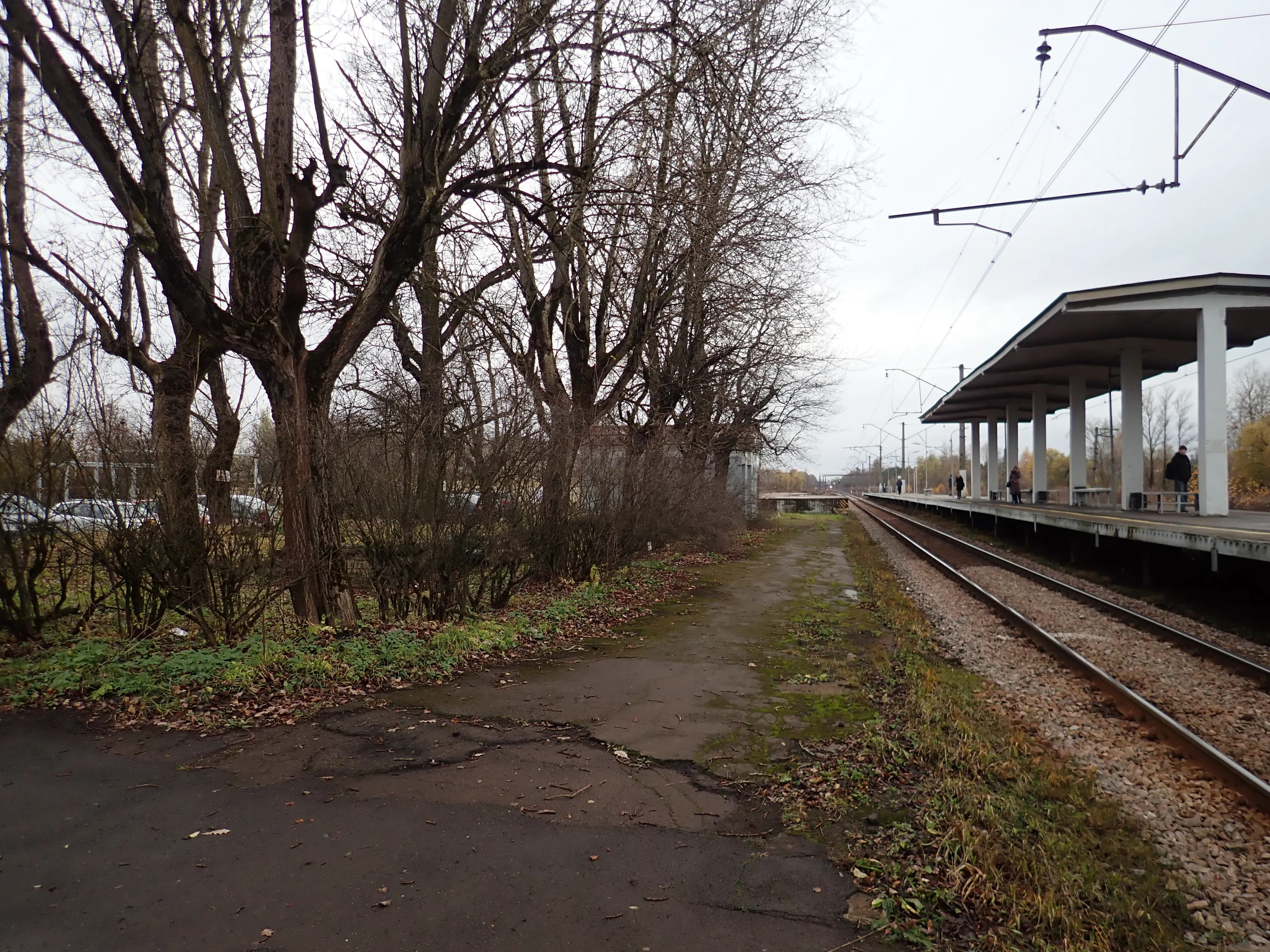 У платформы железнодородной станции "Александровская".