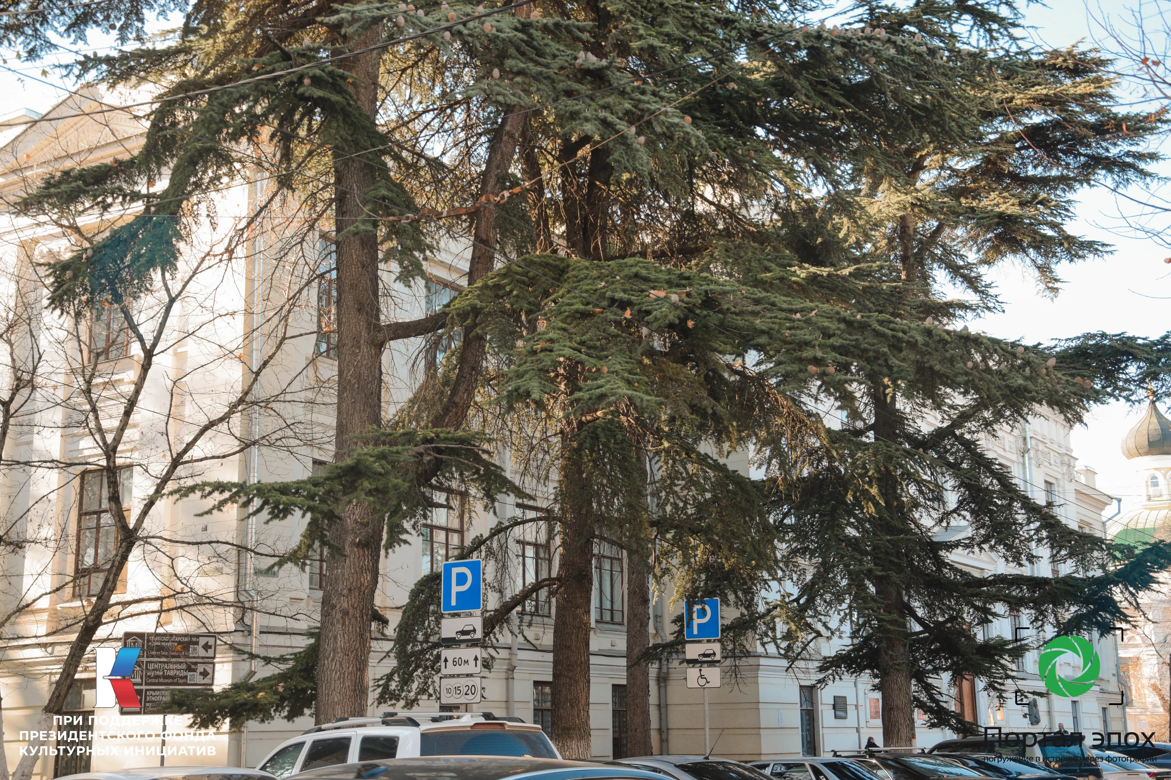 Симферополь. Окружной суд. 2025 года.