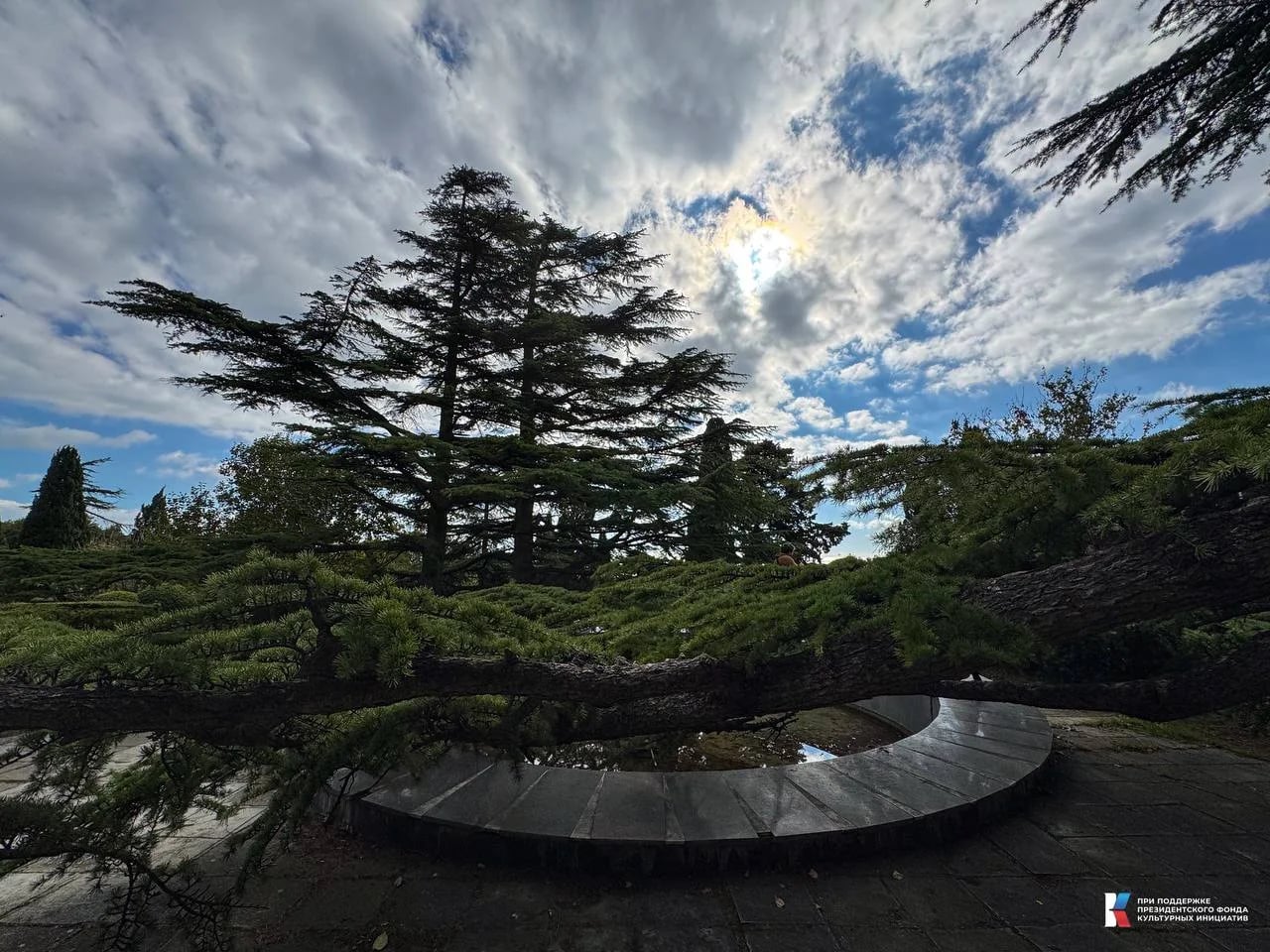 Форос. Парк. 2025 год