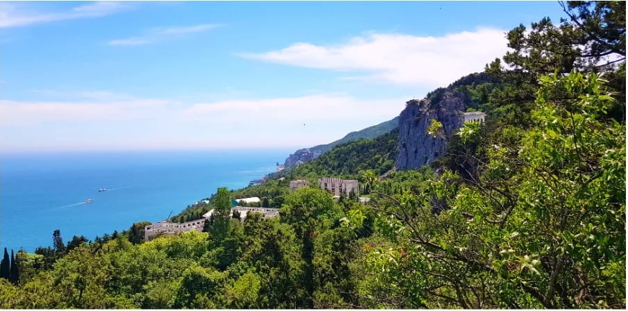 Ореанда. Общий вид 2025