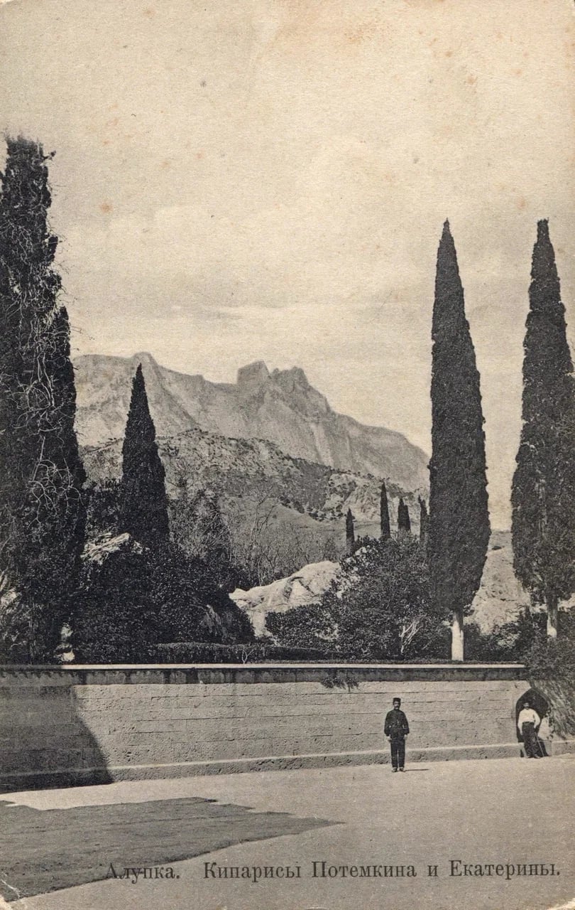 Алупка. Кипарисы Потемкина и Екатерины. 1933 года.