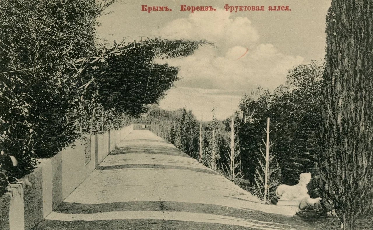 Кореиз. Фруктовая аллея. 1910 года.