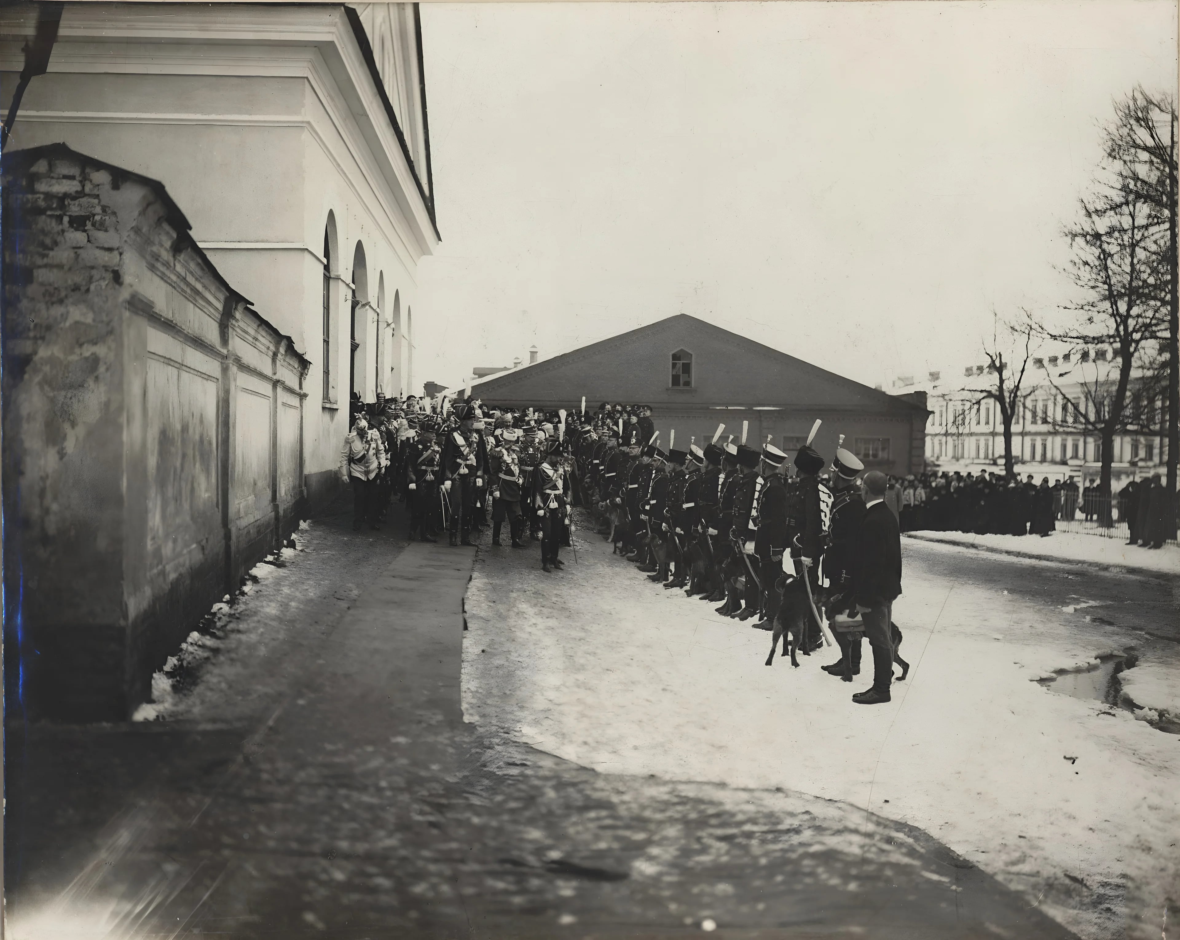 Смотр полковых собак. 