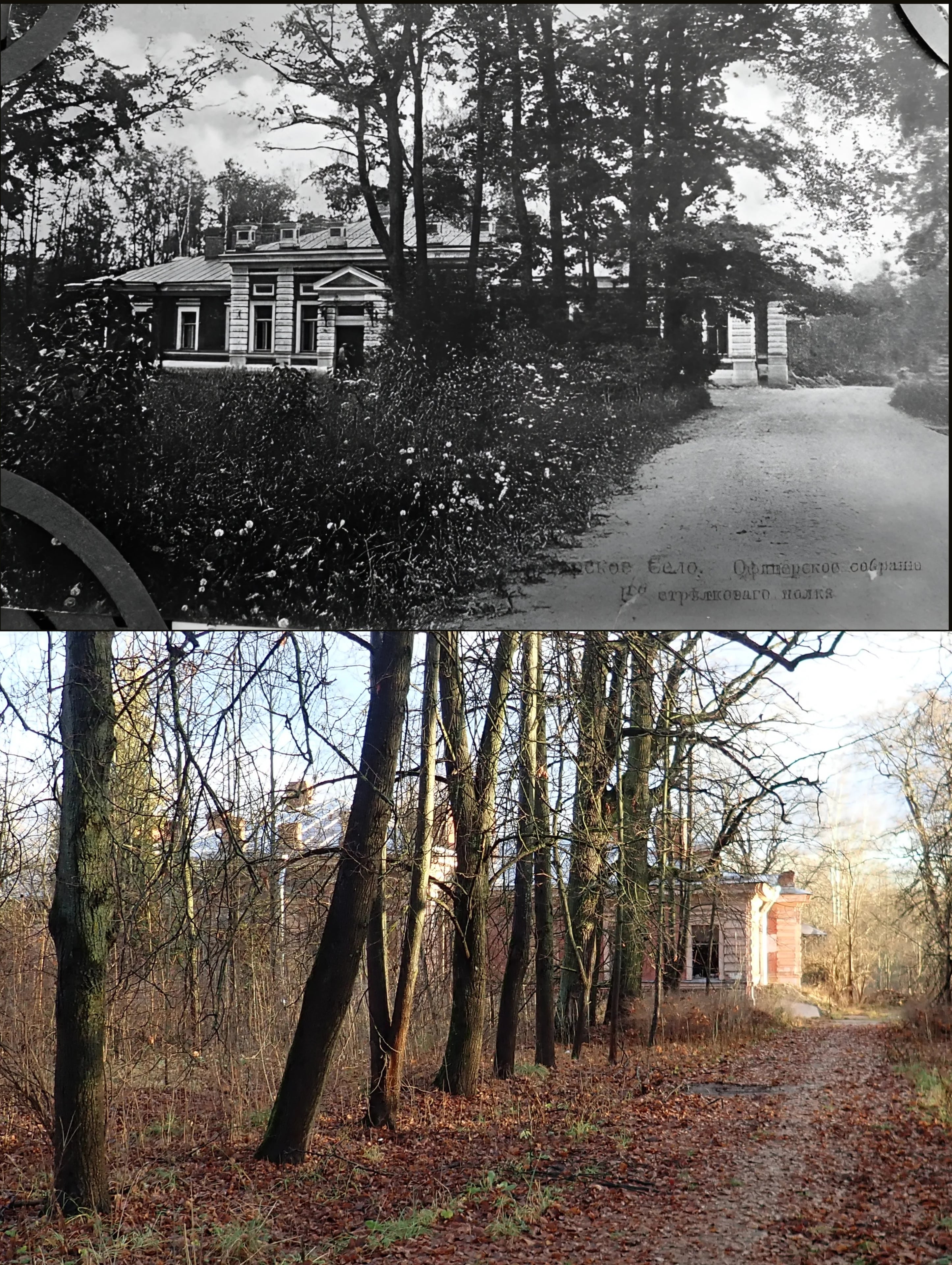 Коллаж из снимков 1909-1917 и 2025гг. 