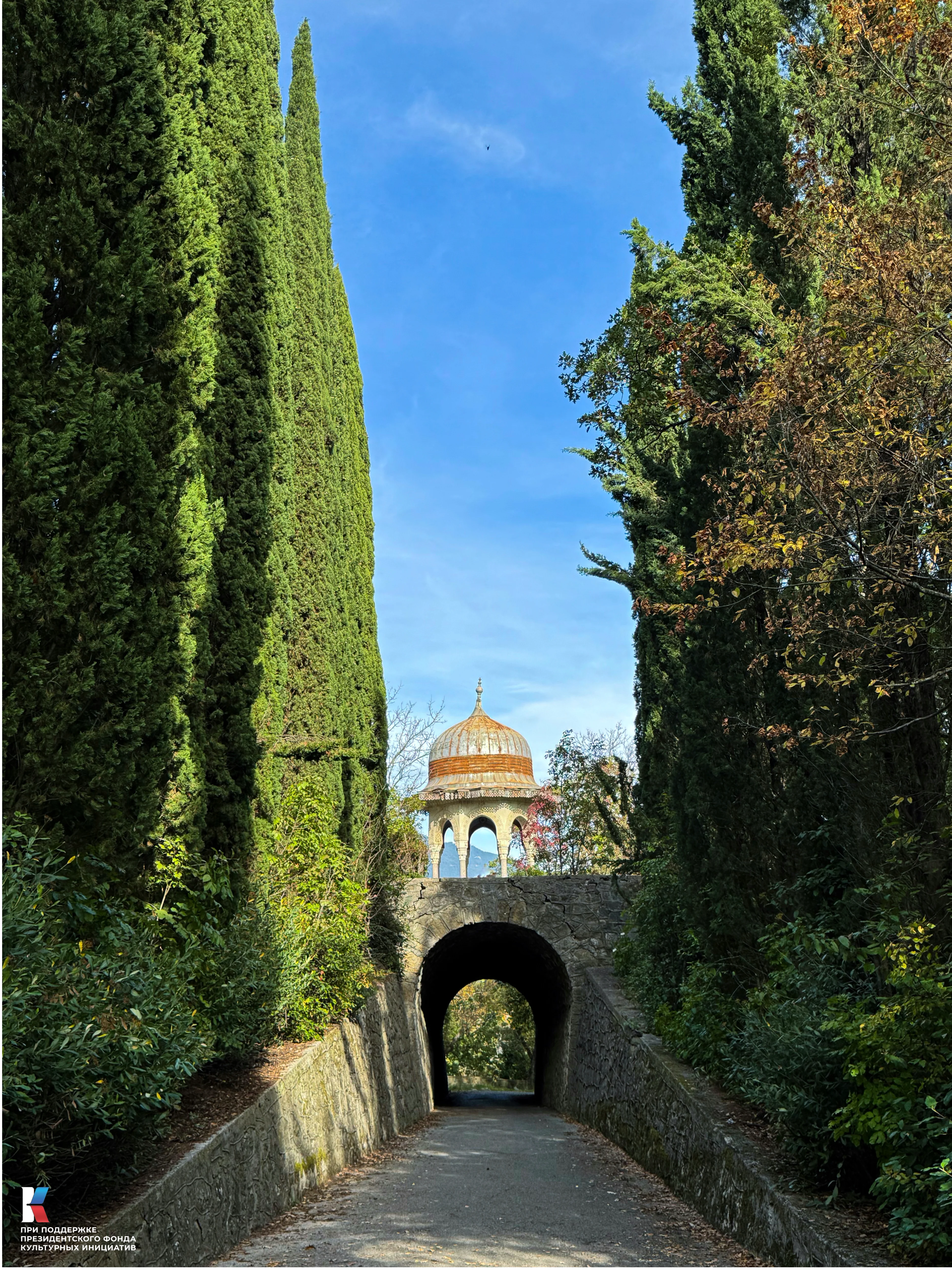 Текущее фото