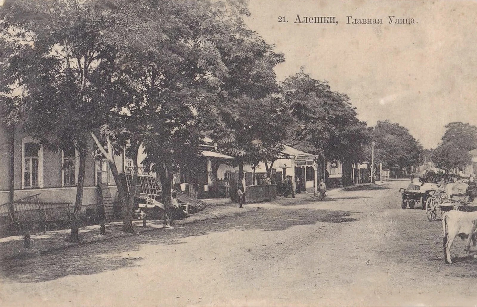 Алешки. Главная улица.