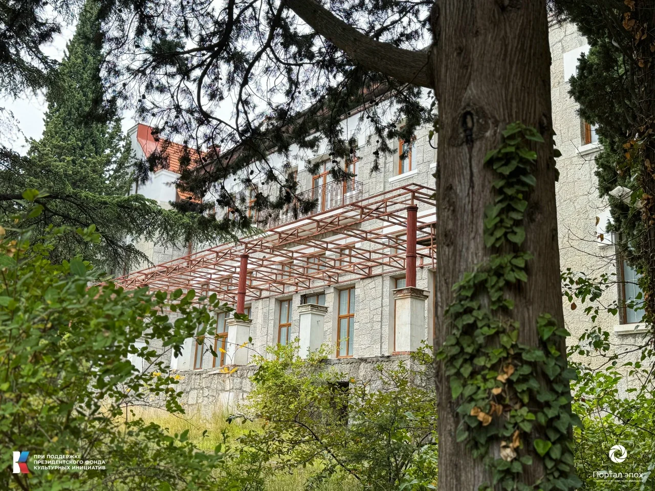 Текущее фото