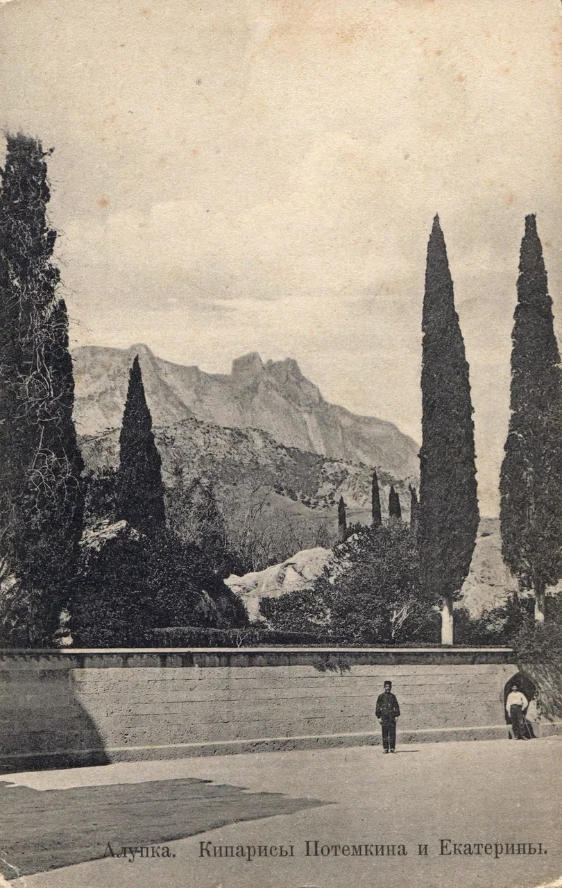 Алупка. Кипарисы Потемкина и Екатерины.