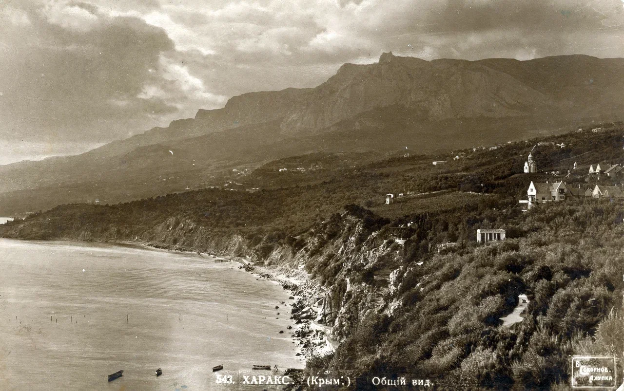 Харакс. Общий вид.