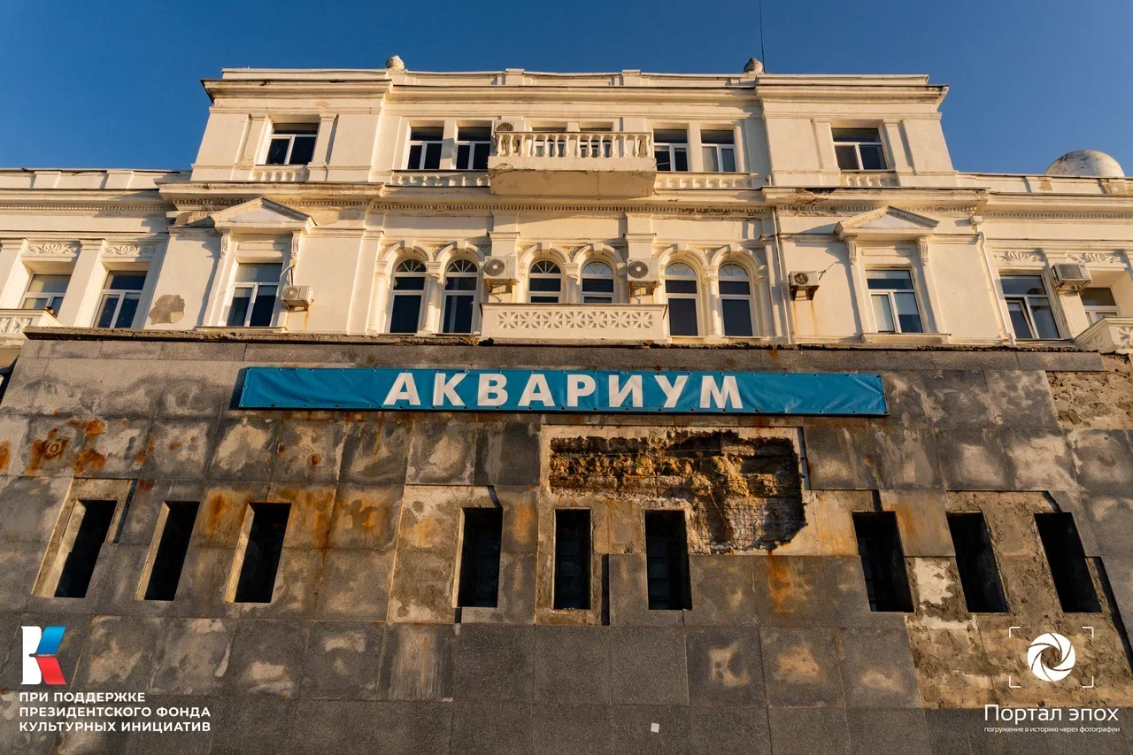 Севастополь. Биологическая станция. 2025 года.