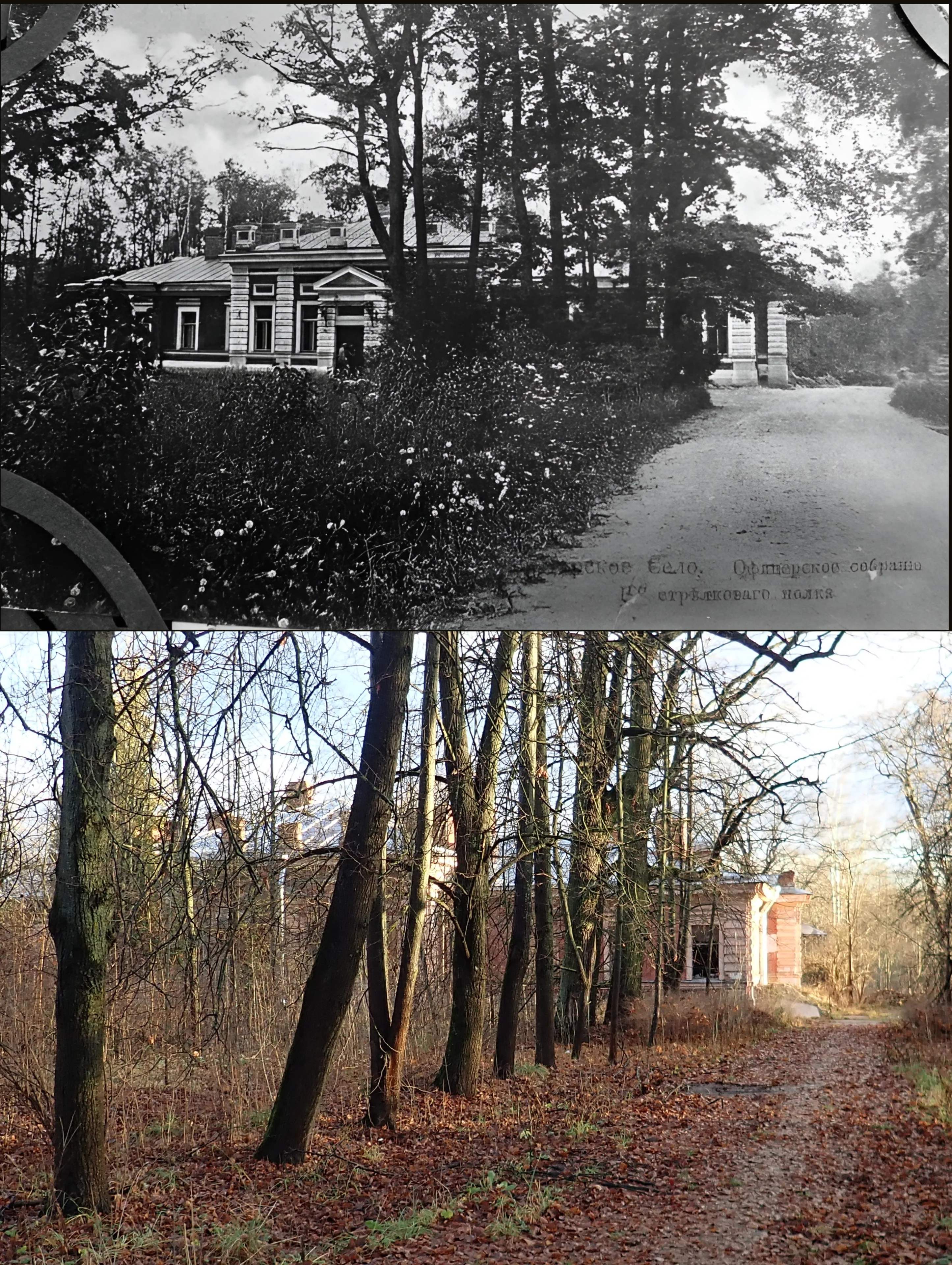 Коллаж из снимков 1909-1917 и 2025гг. 