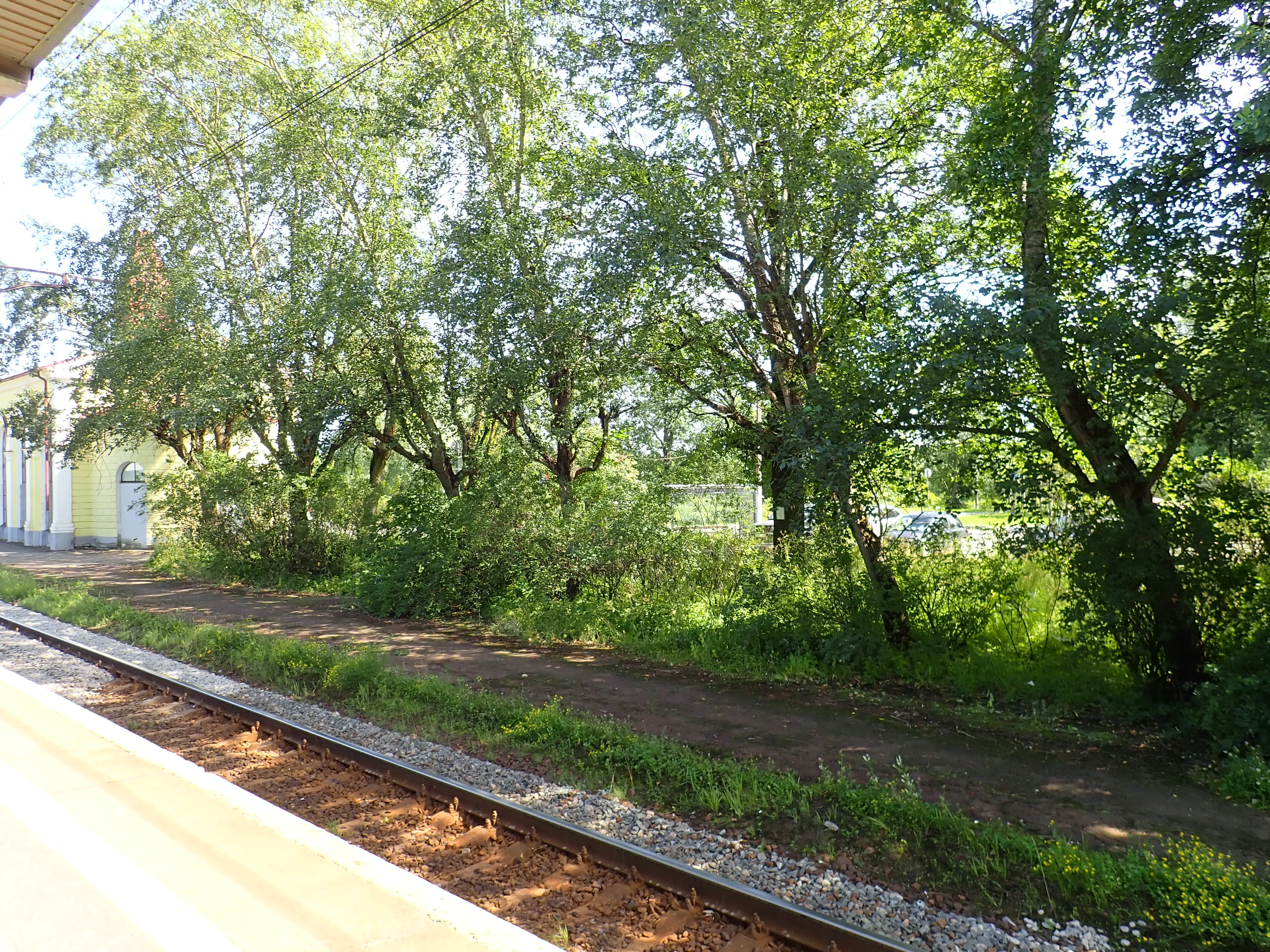 Текущее фото