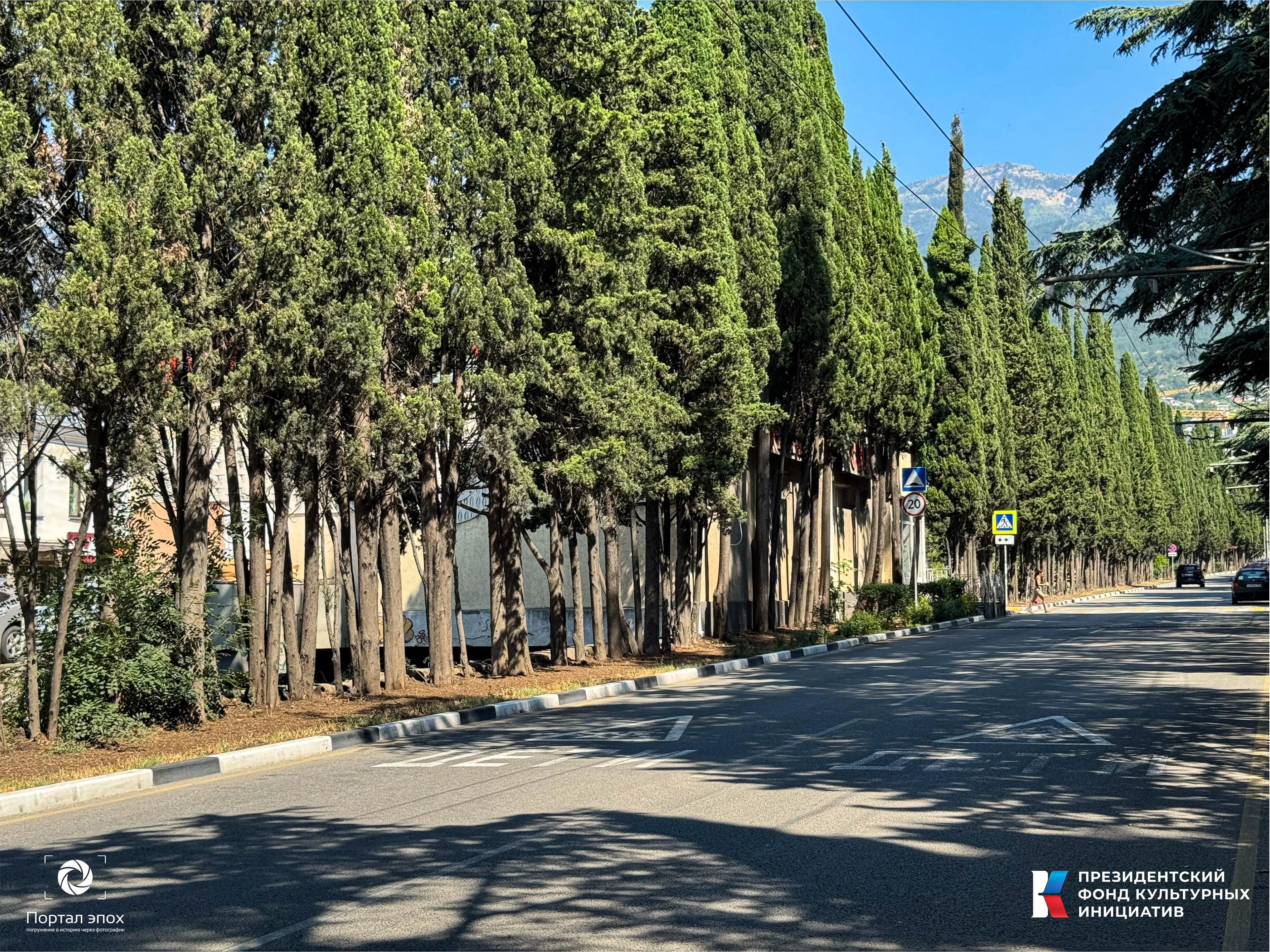 Текущее фото