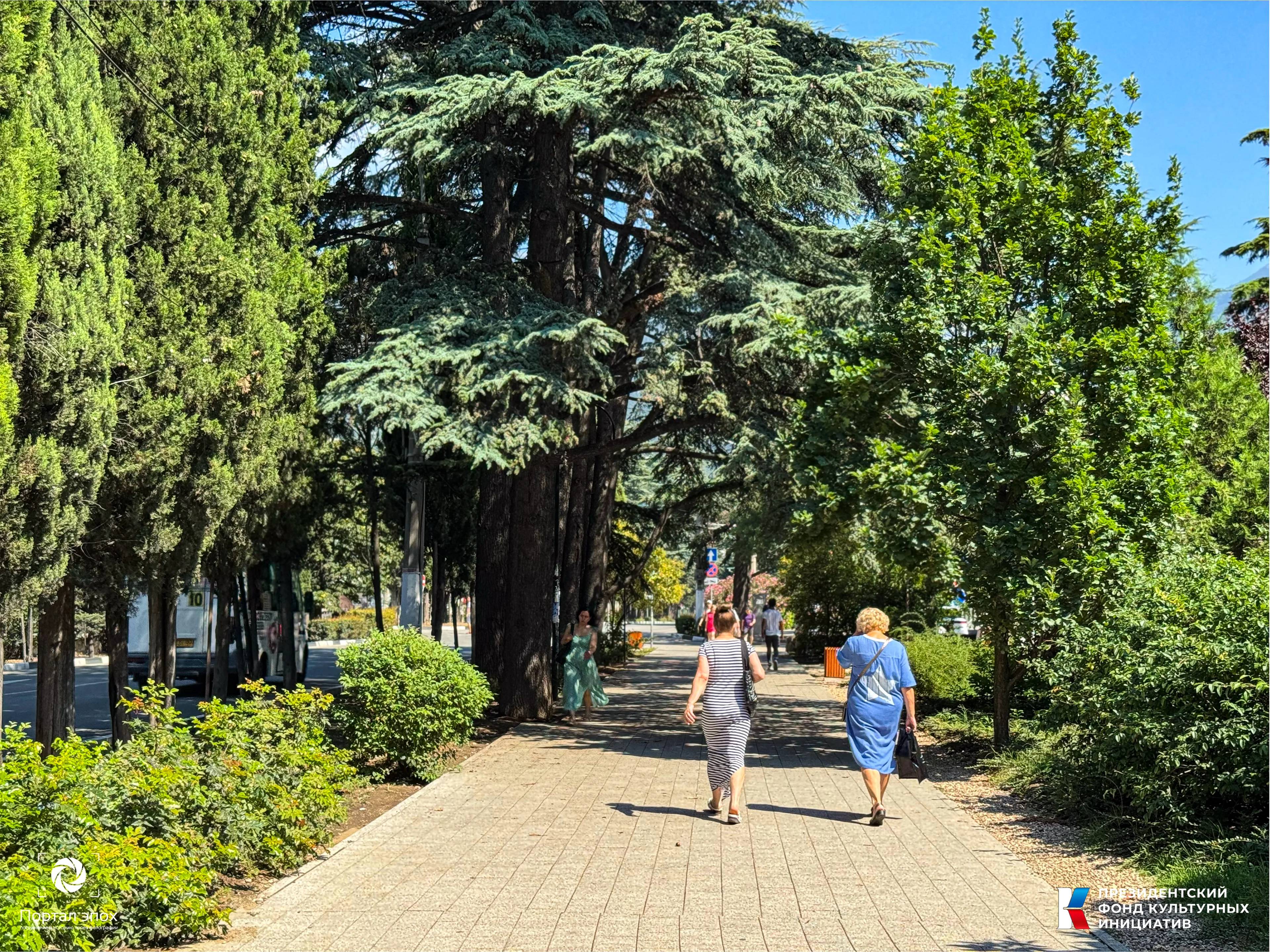 Текущее фото