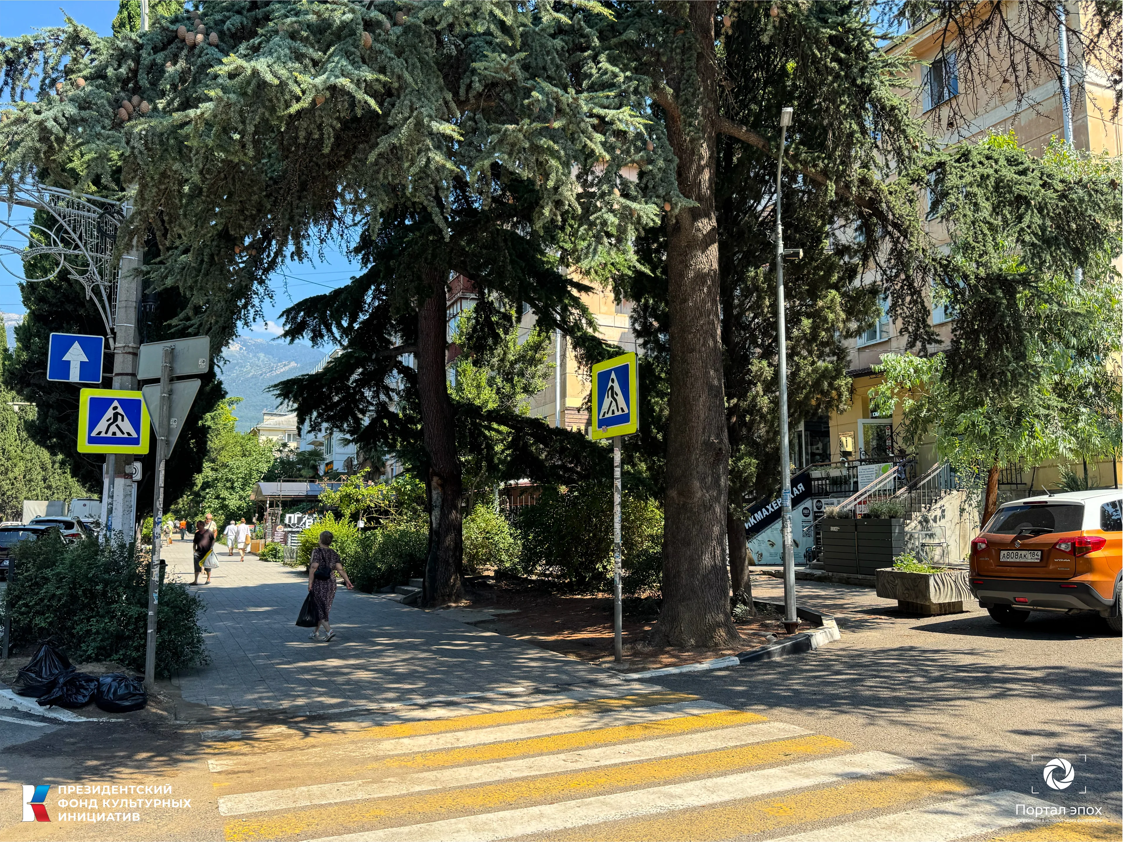 Текущее фото