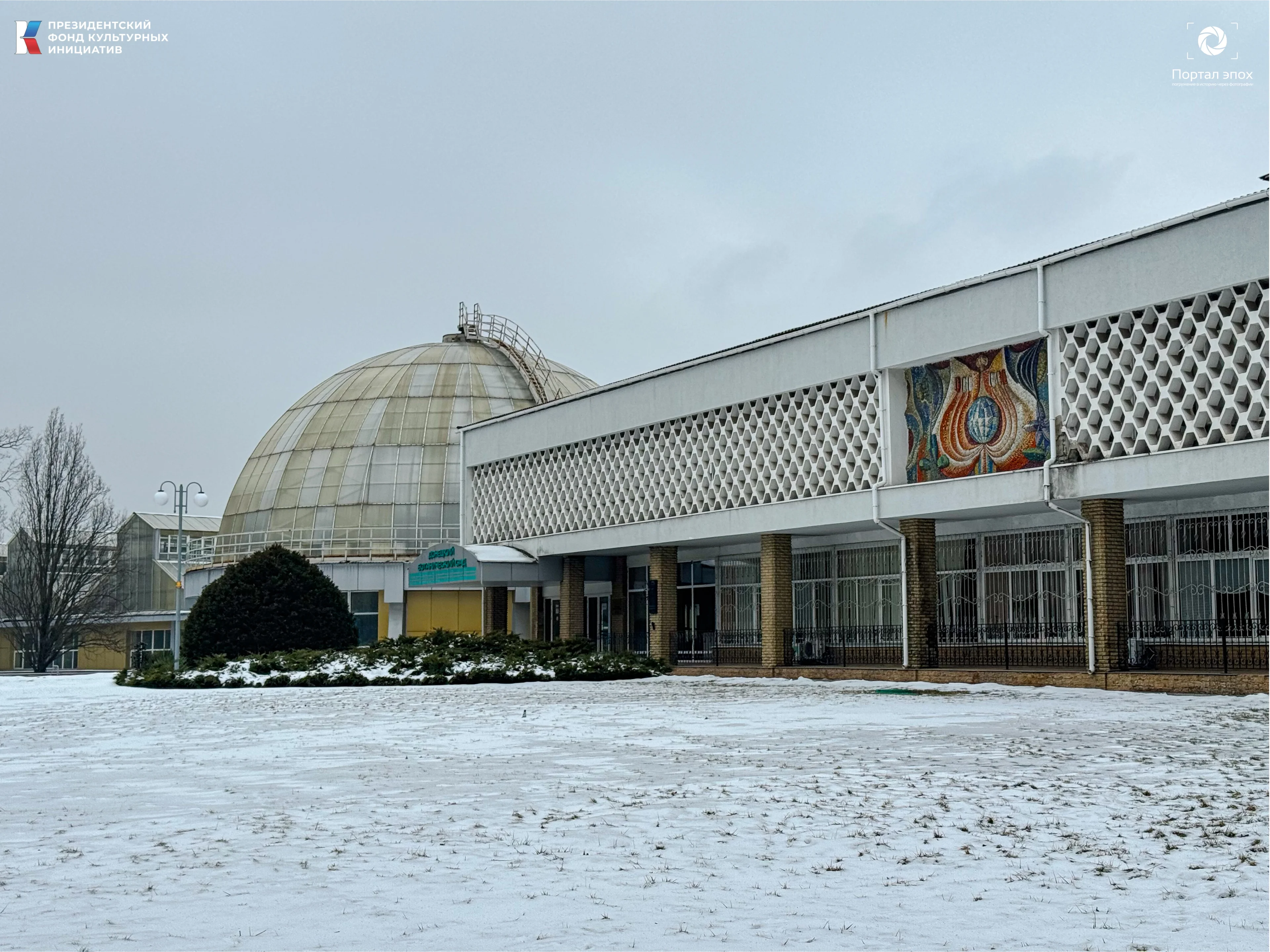 Текущее фото