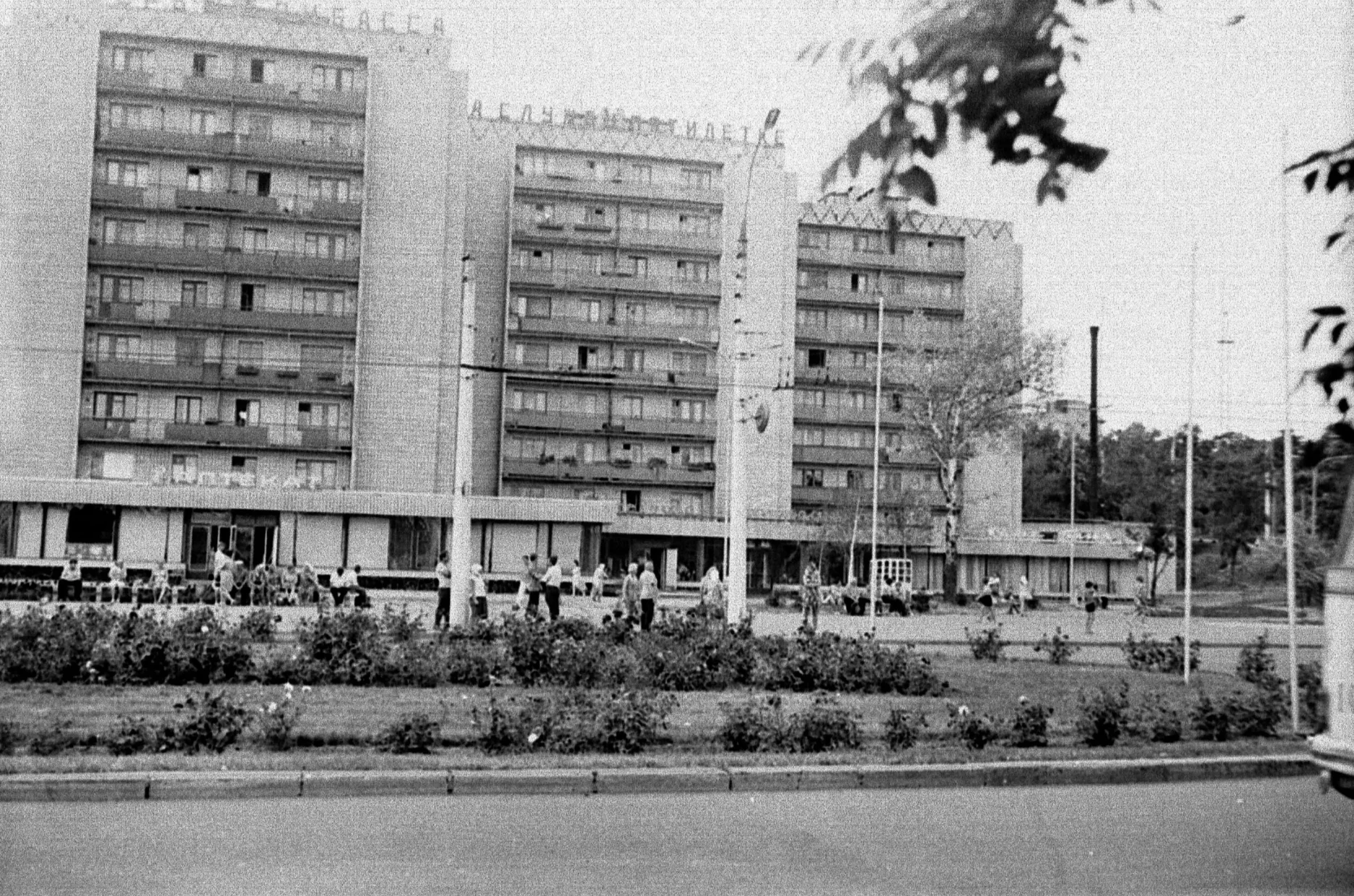 Текущее фото