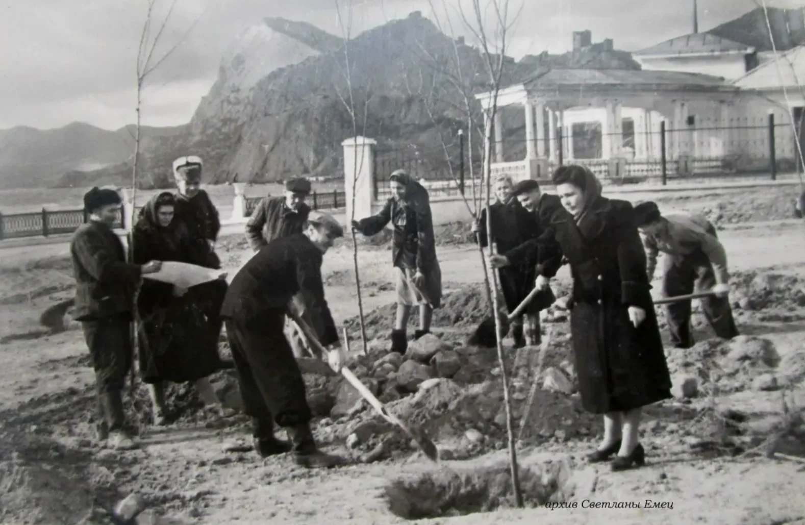 Закладки парка